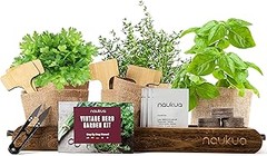 Cómo utilizar un kit de huerto urbano para principiantes