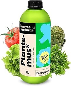Guía para fertilizar tus tomates en macetas con eficacia