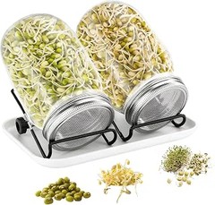 Semilleros con tapa para germinar en casa para ventanas