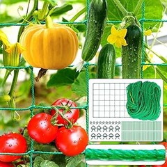 Principales errores al instalar mallas de soporte para plantas trepadoras