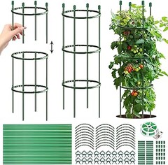 Principales problemas al utilizar tutores y espalderas para tomates cherry