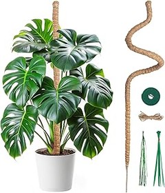 ¿Qué son las espalderas plegables para plantas trepadoras?