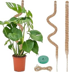 ** Cómo Escoger el Tutor o Espaldera Perfecta para tus Plantas