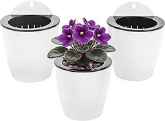 Huertos verticales para balcones pequeños