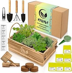 Kits de huerto urbano para principiantes económicos