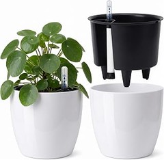 Comparativa de las mejores macetas con autorriego para tomates cherry