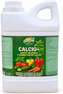 Errores frecuentes al abonar fresas en macetas y cómo solucionarlos