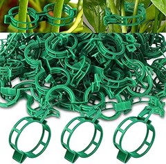 Problemas frecuentes al usar clips para tutores y cómo solucionarlos