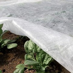 Protectores para tomates en balcón