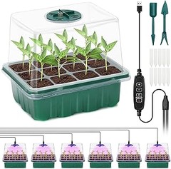 Beneficios de los semilleros con tapa para germinar en casa