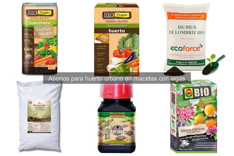 Abonos a base de algas: beneficios para tu huerto urbano