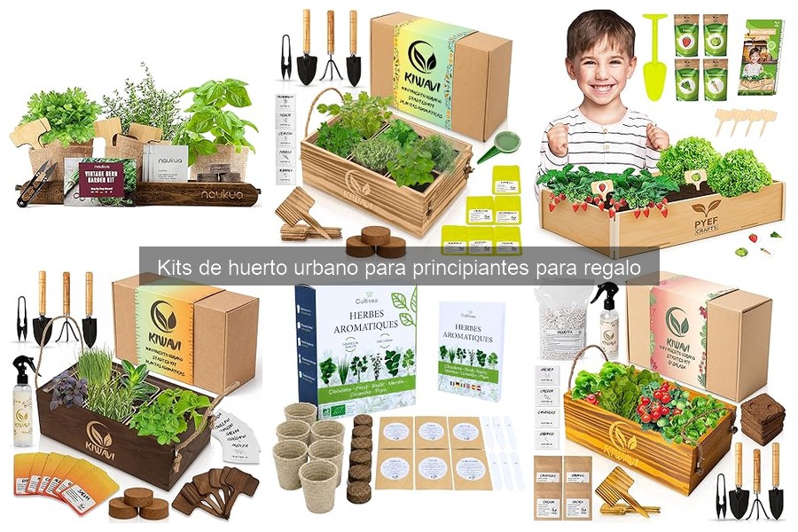 Aprende a usar tu kit de huerto urbano para principiantes