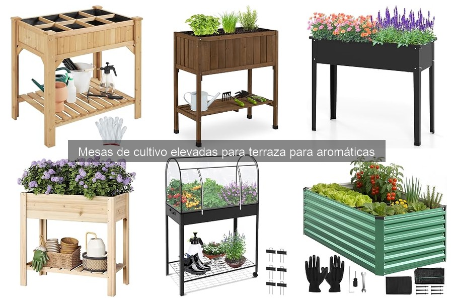 Beneficios de las mesas de cultivo elevadas para aromáticas