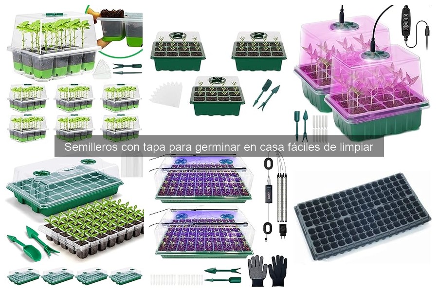 Beneficios de semilleros con tapa para germinar en casa