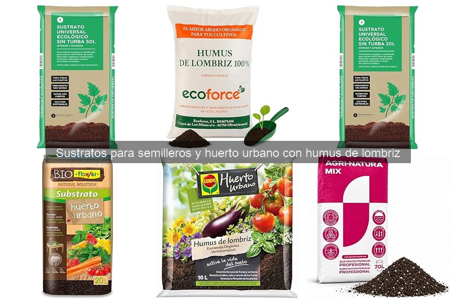 Beneficios del Humus de Lombriz para el Cultivo Urbano
