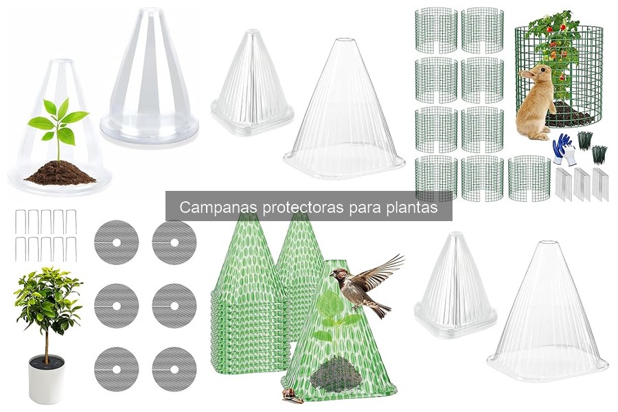 Campanas protectoras para plantas: ¿Qué son y sus beneficios?