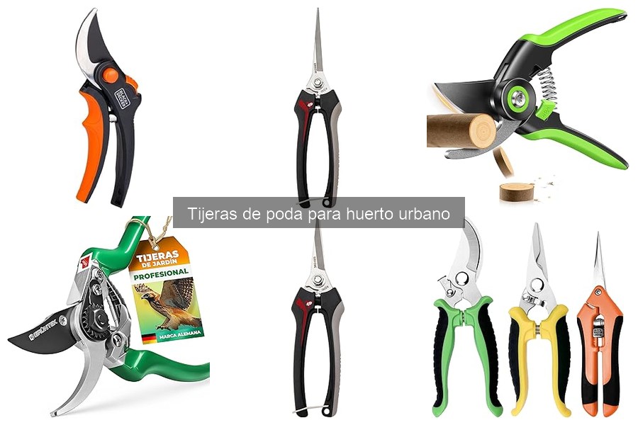 Cómo afilar y mantener tijeras de poda para tu huerto urbano
