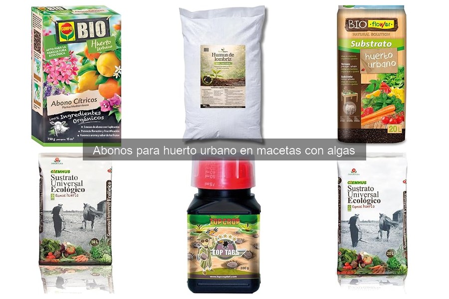 Cómo elegir el mejor abono de algas para plantas en macetas
