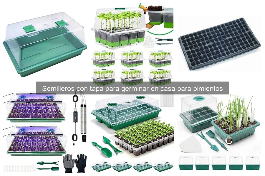 Cómo elegir el mejor semillero con tapa para pimientos