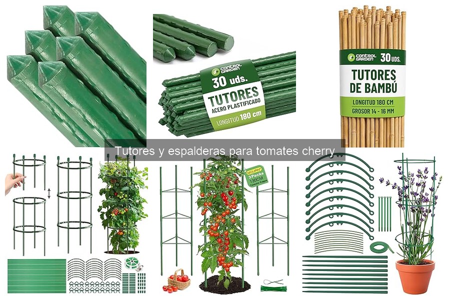 Cómo elegir el mejor tutor o espaldera para tomates cherry