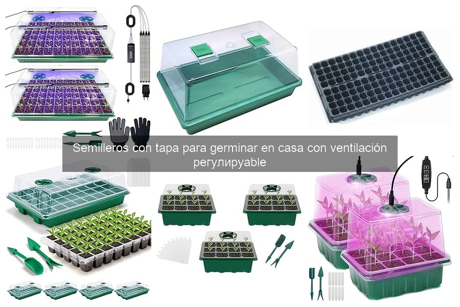 Cómo elegir el semillero con tapa adecuado para tus plantas