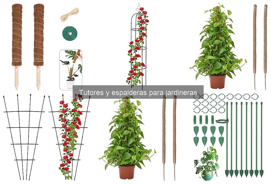 Cómo elegir el tutor adecuado para tus plantas en jardineras