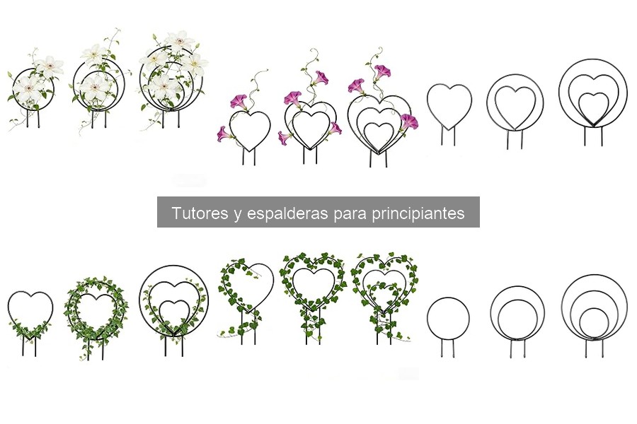 Cómo elegir el tutor o espaldera ideal para tus plantas