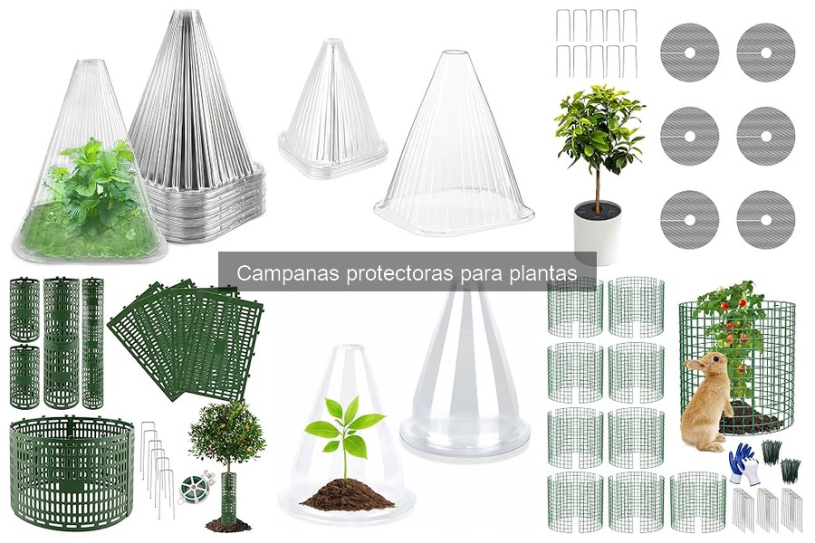 Cómo elegir la campana protectora perfecta para tus plantas
