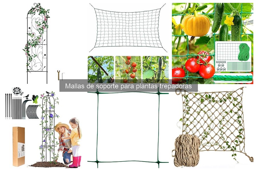 Cómo elegir la malla de soporte ideal para plantas trepadoras