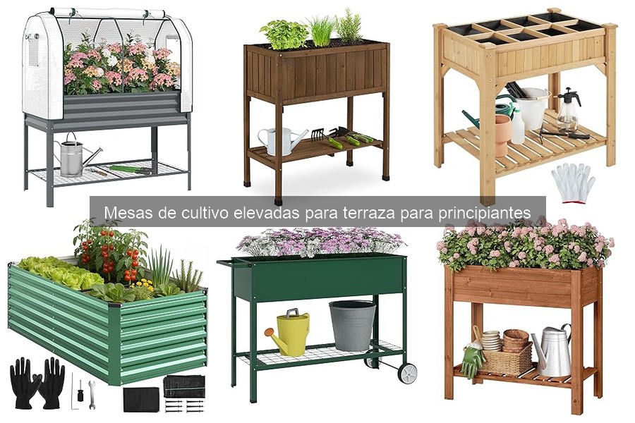 Cómo Elegir la Mejor Mesa de Cultivo Elevada para Principiantes