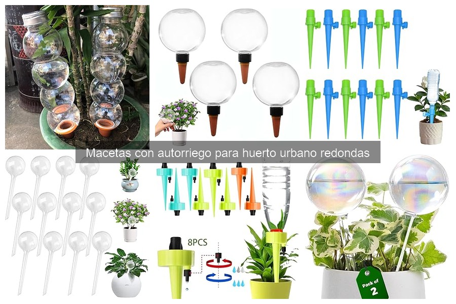 Cómo funcionan las macetas con autorriego en tu huerto urbano
