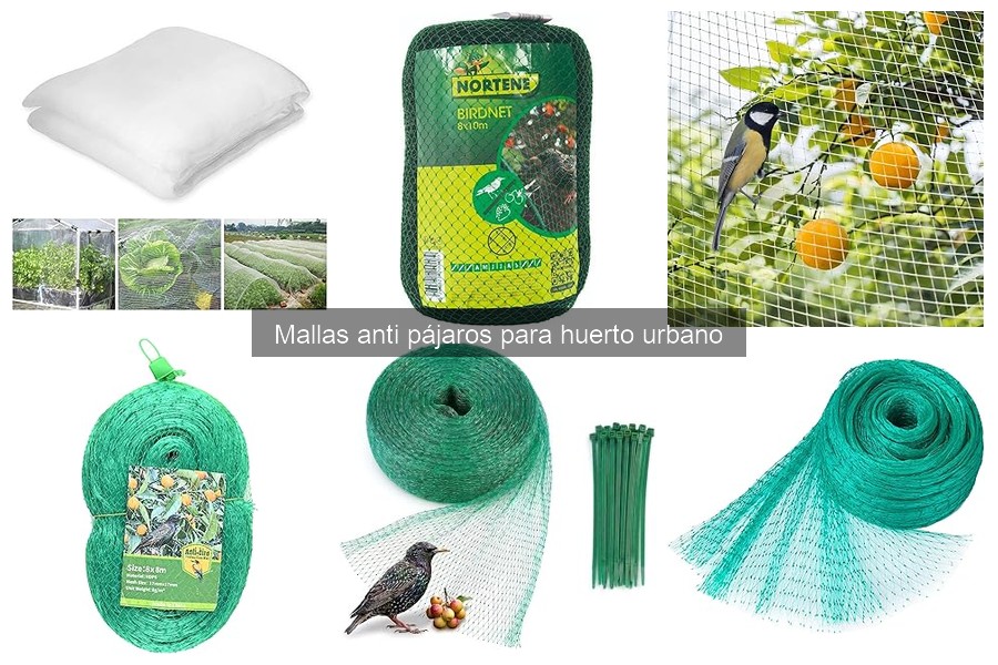 Cómo instalar malla anti pájaros en tu huerto urbano