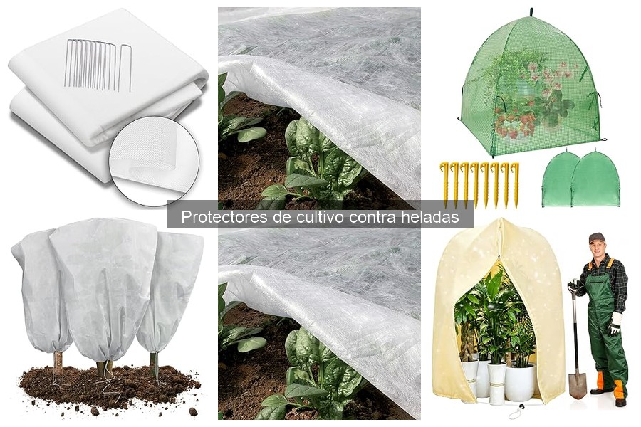 Cómo instalar protectores de cultivo contra heladas correctamente