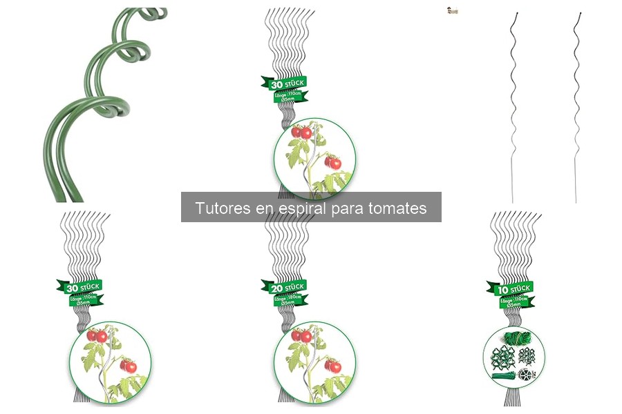 Cómo instalar tutores en espiral para tomates fácilmente