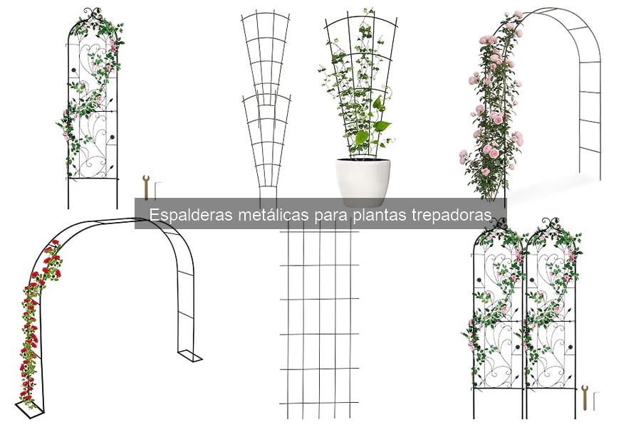 Cómo instalar una espaldera metálica para plantas trepadoras