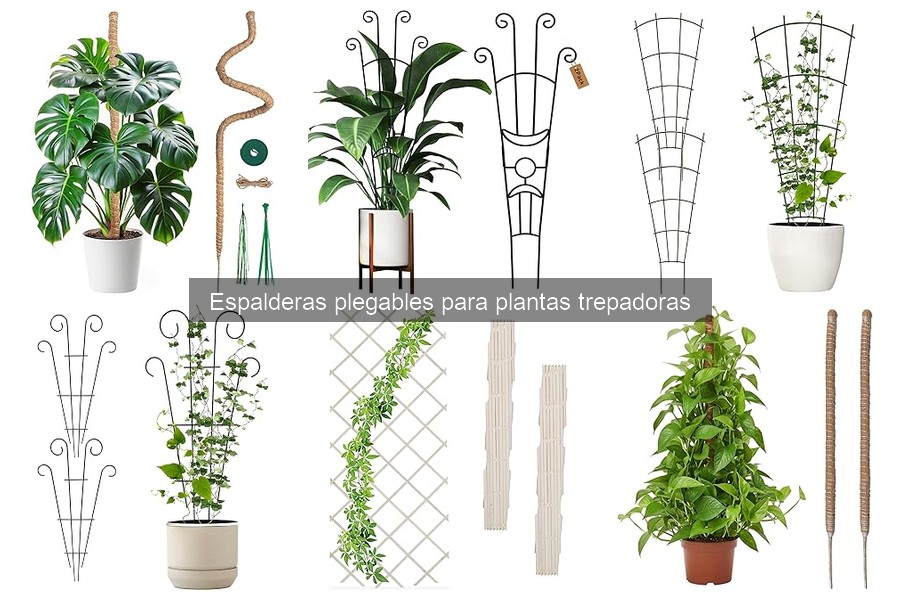 Cómo instalar una espaldera plegable para plantas trepadoras