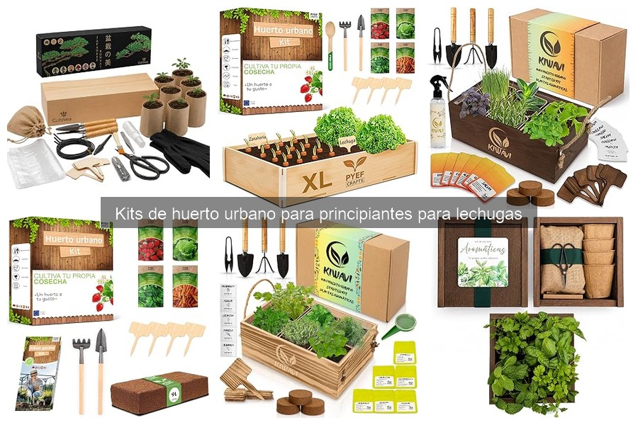 Cómo instalar y cuidar un kit de huerto urbano para lechugas