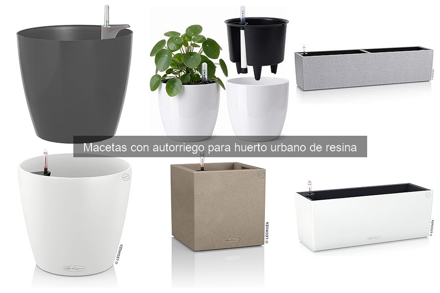 Cómo Instalar y Mantener Macetas con Autorriego en tu Huerto