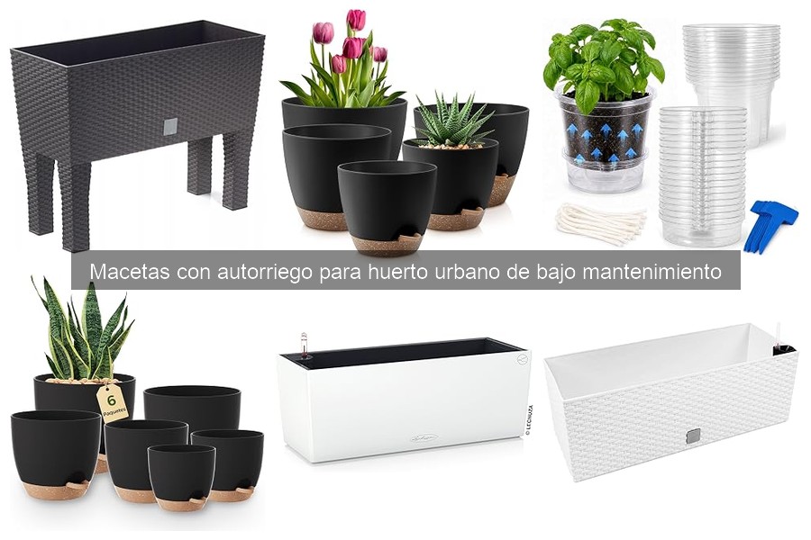 Cómo instalar y mantener macetas con autorriego fácilmente