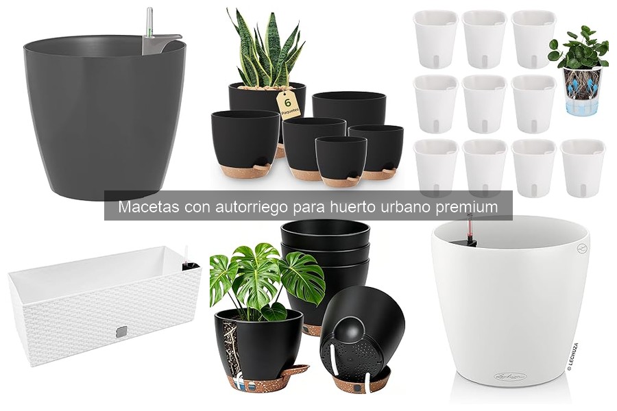 Cómo instalar y mantener macetas con autorriego