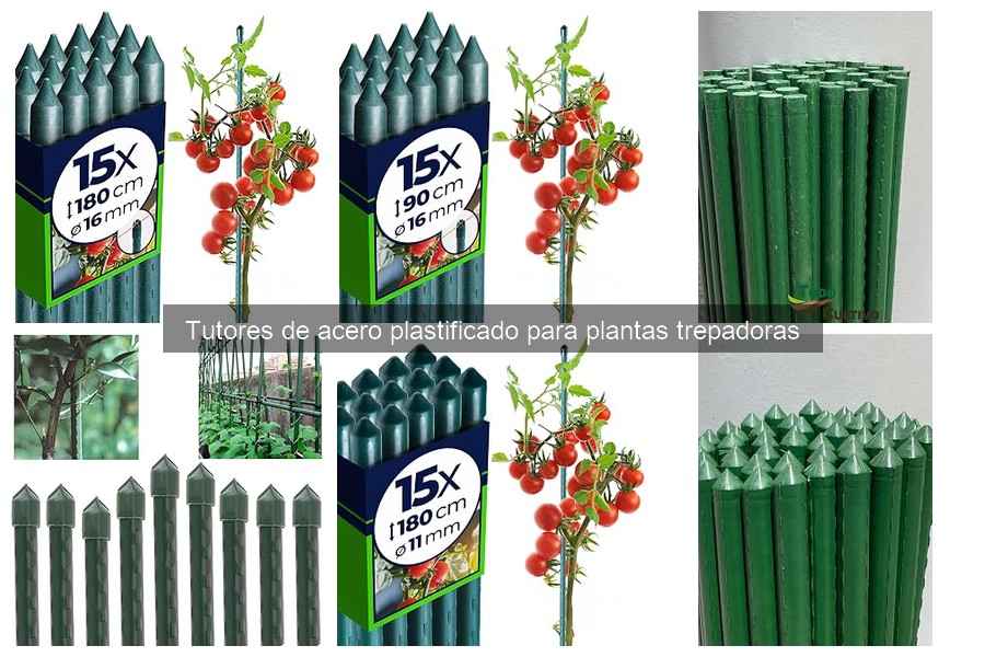 Cómo instalar y mantener tutores de acero plastificado