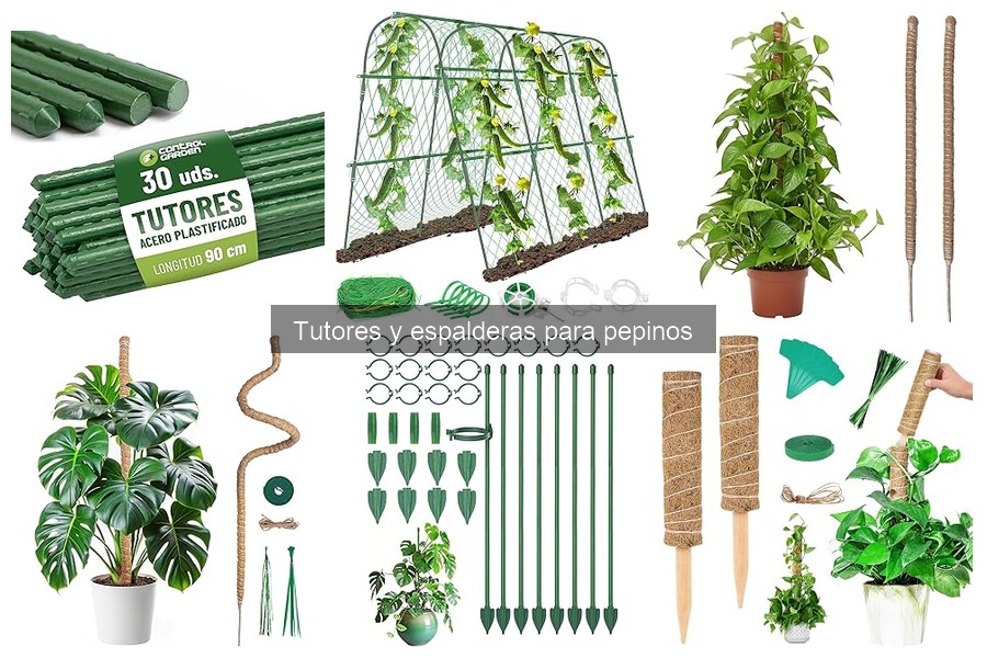 Cómo instalar y mantener tutores para pepinos fácilmente
