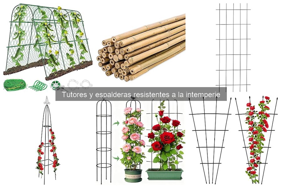 Cómo instalar y mantener tutores y espalderas en tu huerto