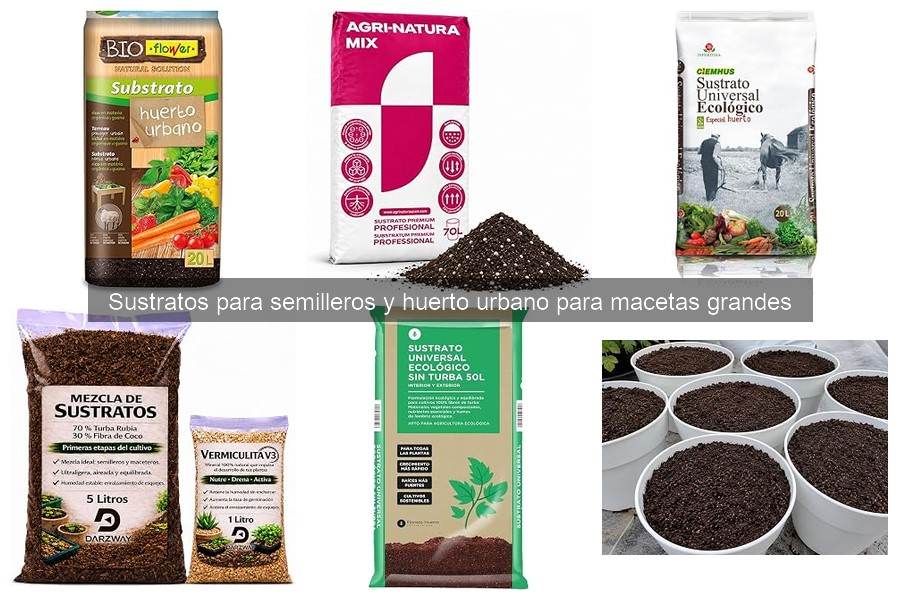 Cómo preparar el sustrato ideal para macetas grandes