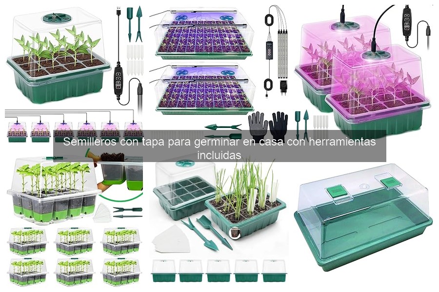 Cómo usar semilleros con tapa para germinar en casa