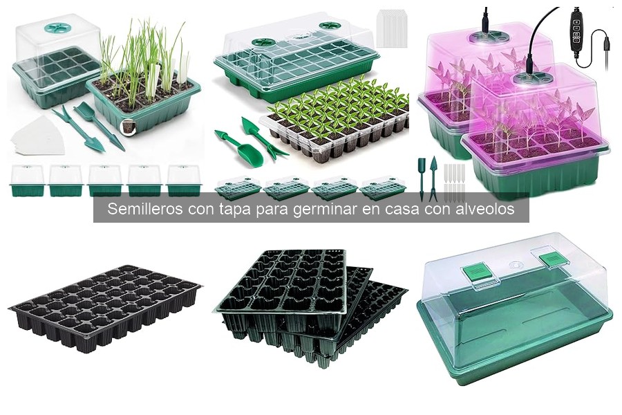 Cómo usar semilleros con tapa para germinar semillas
