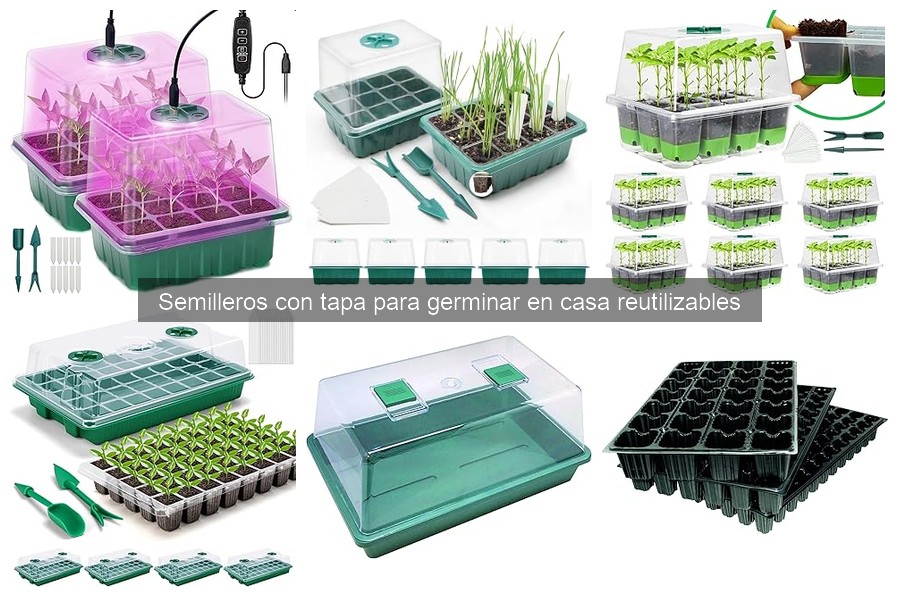 Cómo usar semilleros con tapa reutilizables correctamente