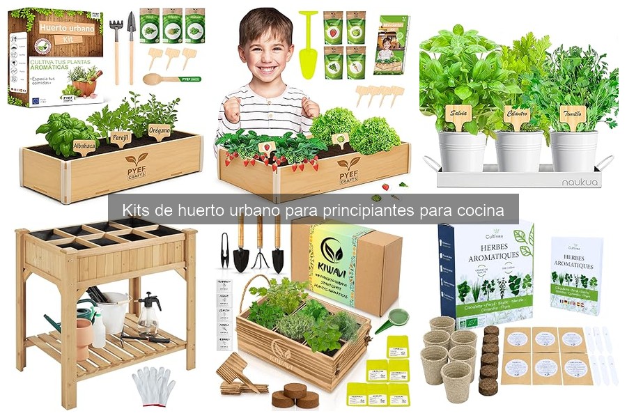 Cómo usar un kit de huerto urbano en cocina: Guía práctica