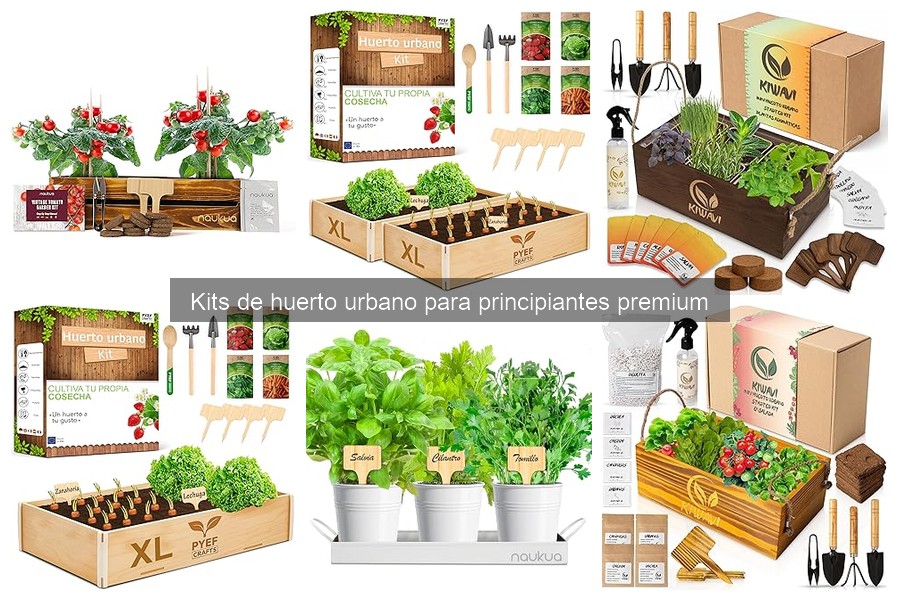 Cómo usar un kit de huerto urbano para principiantes premium