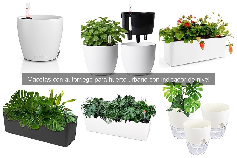 Cómo usar y mantener macetas con autorriego correctamente